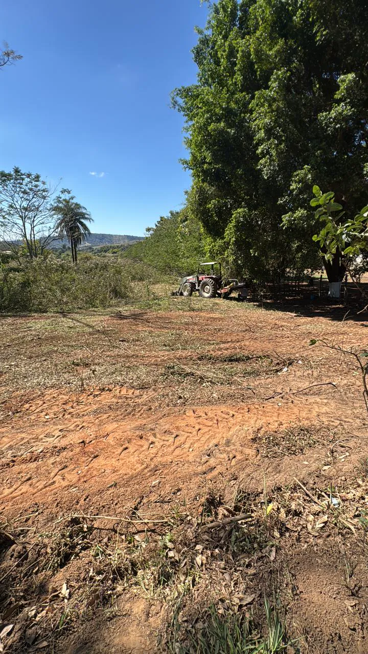 Terreno em limpeza com trator